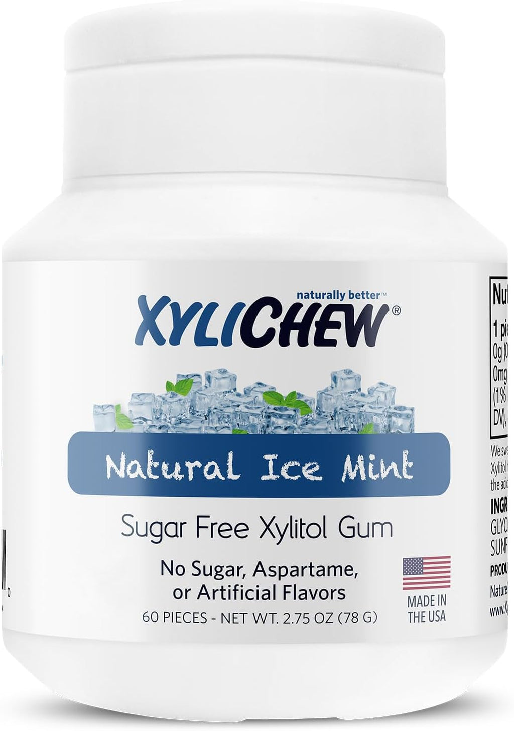 Xylichew 100% Xylitol Chewing Gum Jars - Non GMO, Gluten, Aspartame, and Sugar Free Gum - Natural Oral Care, Relieves Bad Breath and Dry Mouth - Ice Mint (60 Count, Pack of 4)