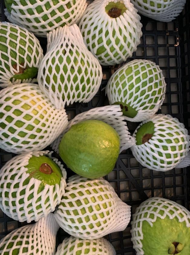 Pink Guava 4 LBS