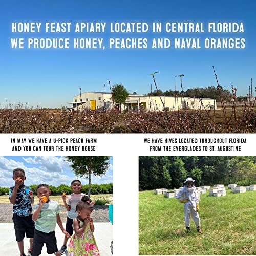Honey Feast, Honey Wild Flower, 12 Ounce