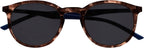 OPULIZE Met Large Comfortable Brown Tortoiseshell Blue Arms Men Women Sun Reader UV400 S60-2 +0.00