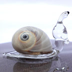 Rare Snail Hand Blown Glass Art W/Natural Seashell Conch Tiny Miniature Figurines Beach Animals Collectible Gift Home Décor (Beige)