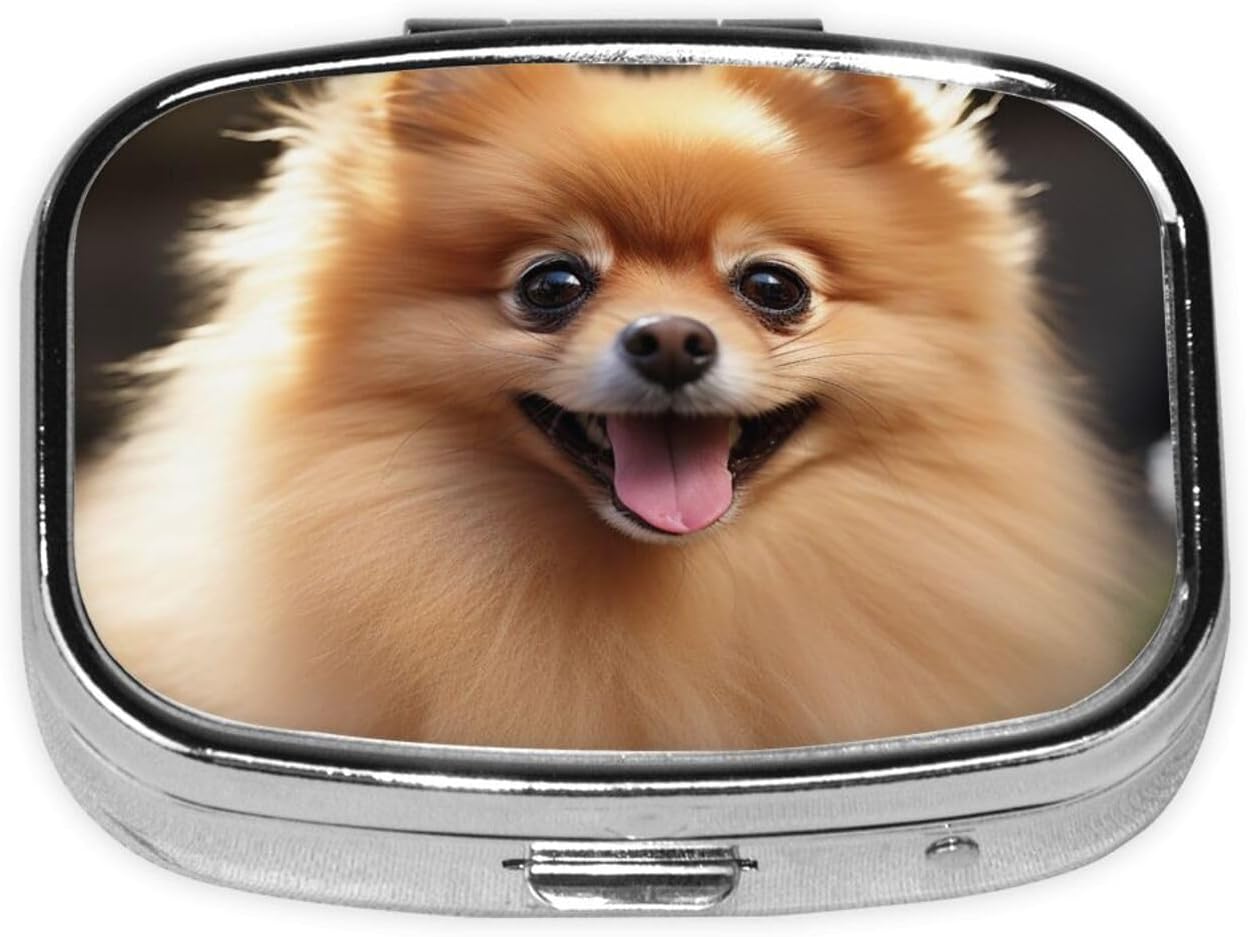 Pomeranian Dog Print Pill Box Square Metal Pill Case with 2 Compartment Portable Travel Pillbox Cute Mini Medicine Organizer for Pocket Purse