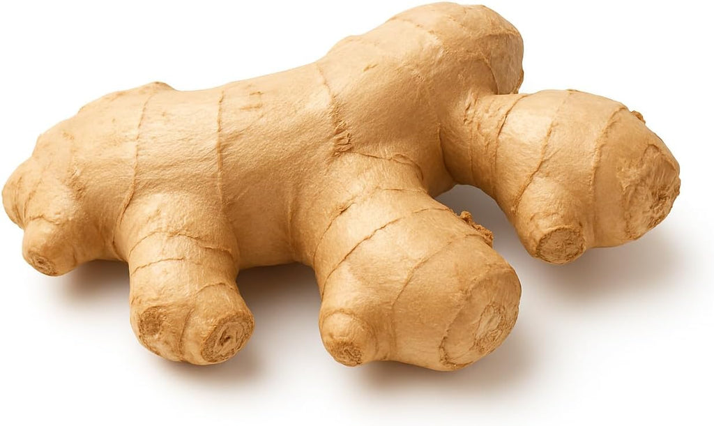 Fresh Ginger Root 3oz (85g) – Whole Raw Ginger for Cooking, Tea & Natural Wellness