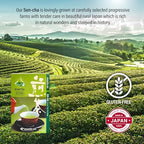 MAEDA-EN Premium Sen-cha Green Tea 10 Tea Bags Japanese Origin Green Tea Leaves Individually Wrapped Teabags 19734 1pk