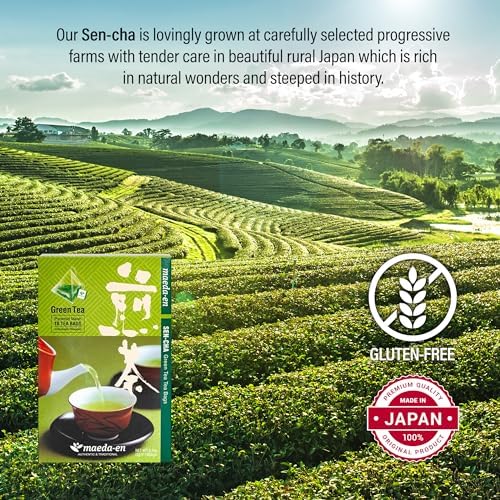 MAEDA-EN Premium Sen-cha Green Tea 10 Tea Bags Japanese Origin Green Tea Leaves Individually Wrapped Teabags 19734 1pk
