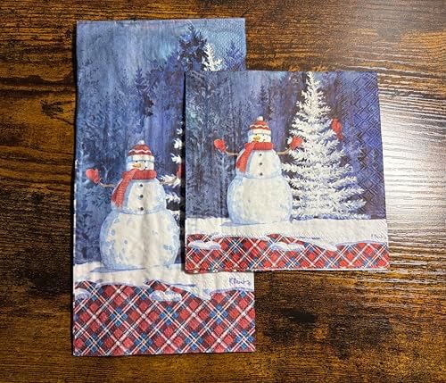 IHR Ideal Home Range Cocktail Napkins Disposable 3-Ply Paper Party Napkin Pack, 5" x 5", Frosted Snowman, 20-Count