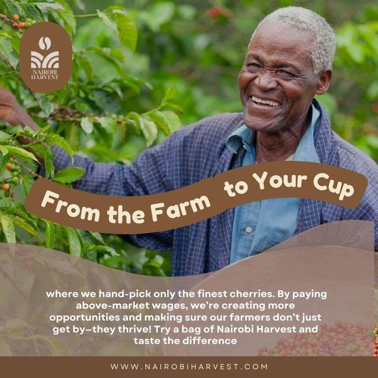 Nairobi Harvest Medium Roast Organic Ground Coffee - Medium Roast, Strong and Bold Taste, Strong Intensity - Premium Quality Roasted Coffee (12Oz Pack)