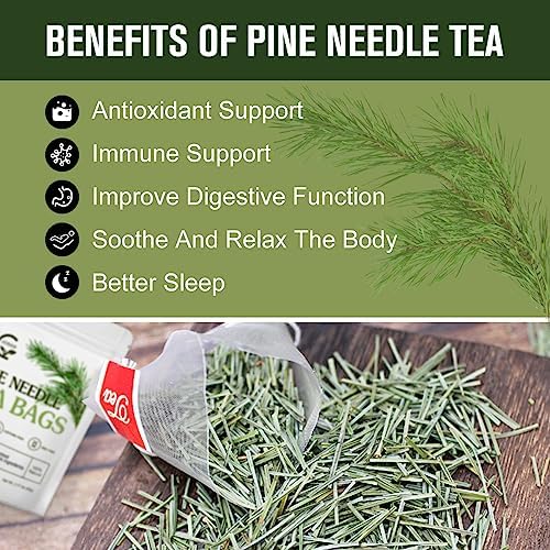 Organic Pine Needle Tea Bags - 100% Pure Natural Dried Pine Needles Herbal Tea, Effectively Antioxidant & Immune Support, Caffeine Free, 30 Tea Bags