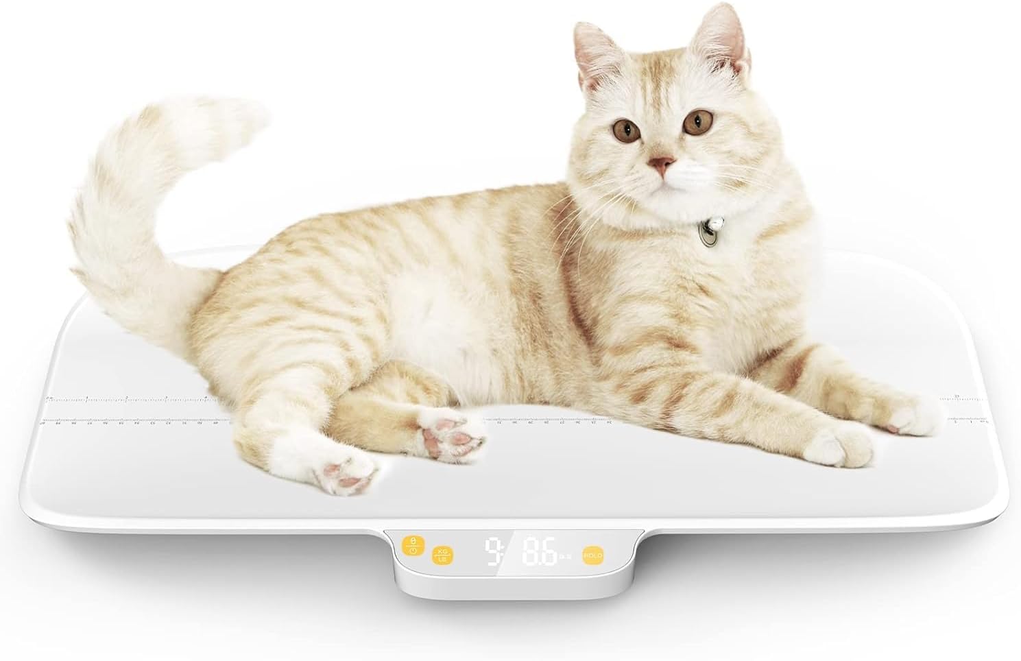 Digital Pet Scale, Baby Scale, Precision0.08oz, Max 30kg/66lbs, Auto-Hold, Integrated Design Without Disassembly, Suitable for Cats, Small Breed Dogs, Infants, and Young Children
