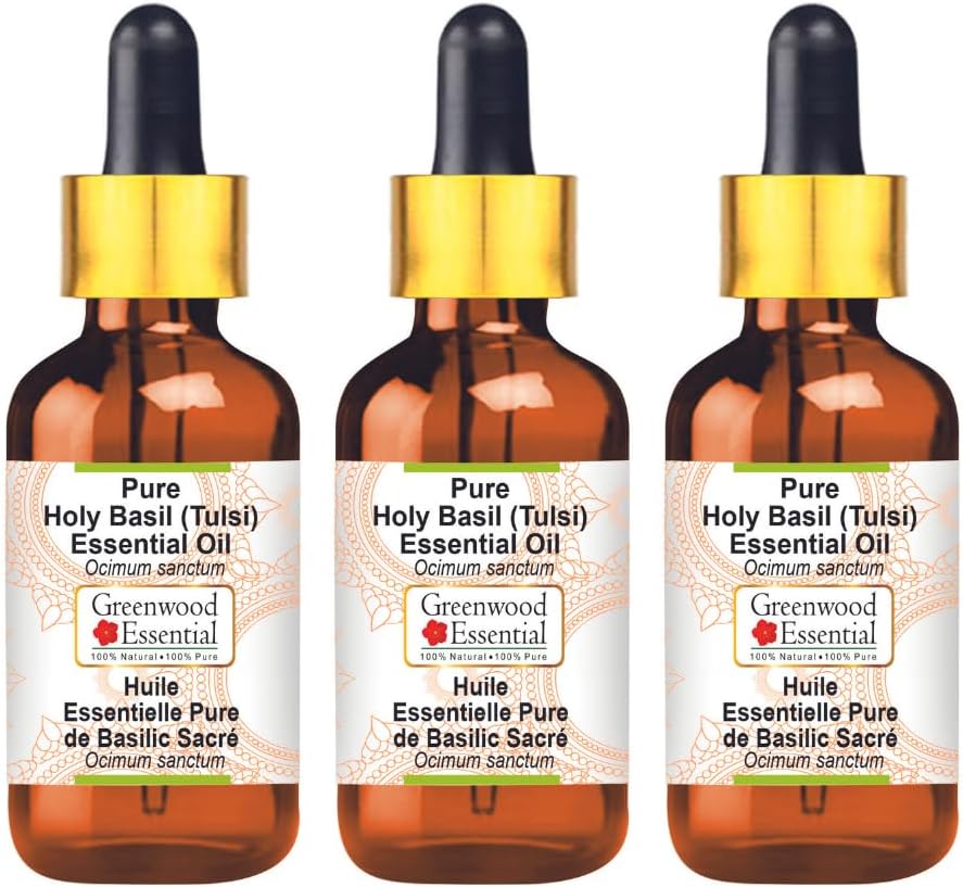 Greenwood Essential Pure Holy Basil Essential Oil (Ocimum Sanctum) with Glass Dropper Steam Distilled (Pack of Three) 100ml X 3 (10.1oz)