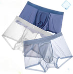Men's Ice Silk Sexy Seamless Boxer Briefs Shorts Underwear,Underwear Comfortable Ultra-thin Breathable Male Underpants