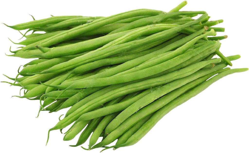 Haricot Vert Stringless Green Bean Seeds