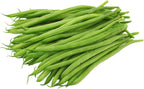 Haricot Vert Stringless Green Bean Seeds
