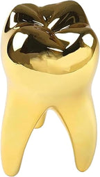 Dental Tooth Model Decoration for Office Tooth Model Gift for Display Decoration Clinic Desktops Dental Student Gift(Golden)