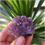 Health & Household Natural Dream Amethyst Quartz Crystal Cluster Specimen
