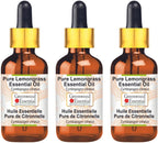 Greenwood Essential Pure Lemongrass Essential Oil (Cymbopogon citratus) with Glass Dropper Steam Distilled (Pack of Three) 100ml X 3 (10 oz)