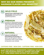 100 Bags Linden Tea Dried Linden Flower Tea Herbal (Tilia Cordata) - 100 Count 1.5g Bags Herb Lipa