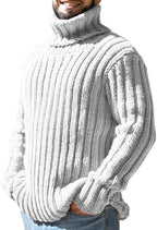 Mens Sweaters Turtleneck Cable Knitted Pullover Long Sleeve Slim Fit Chunky Casual Fall Winter Warm Cardigans