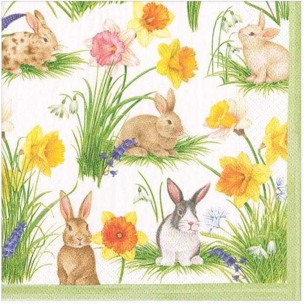 Caspari Bunnies and Daffodils Boxed Paper Cocktail Napkins, 40 Per Box