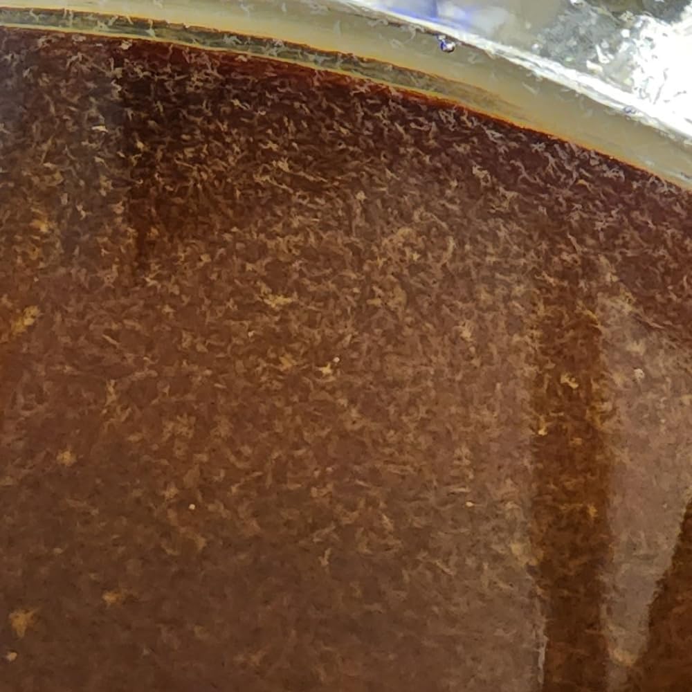 Vinegar EEL Culture (Turbatrix Aceti), 6 oz
