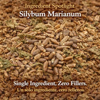 Cardo Mariano Mexican Herbal Tea - 4 oz (113g) - Authentic 100% Natural Milk Thistle Loose Leaf Tea - Wildcrafted, Non-GMO & Caffeine-Free - Traditional Botanical - by BEXPERTSUSA