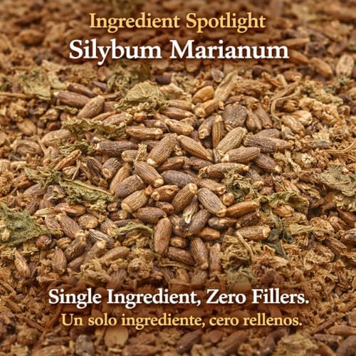 Cardo Mariano Mexican Herbal Tea - 4 oz (113g) - Authentic 100% Natural Milk Thistle Loose Leaf Tea - Wildcrafted, Non-GMO & Caffeine-Free - Traditional Botanical - by BEXPERTSUSA