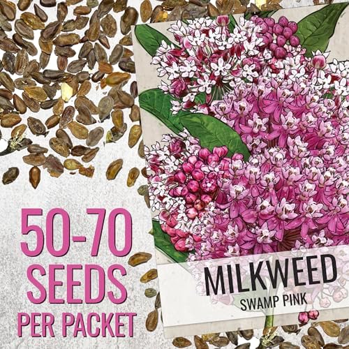 Seed Needs Milkweed Seeds for Planting a Butterfly Garden to Attract Monarch Butterflies - Collection of Pink, Orange & White Asclepias Milk Weed Variety Pack (5 Packs)