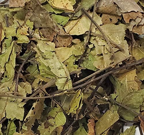 Black Walnut Leaves 4 Ounces-Bulk Bag-1/4 Pound-Juglans nigra-Mexican
