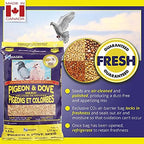 Hagen Pigeon & Dove Seed - Original Formula Bird Food, 6 lb Bag – Nutritionally Complete Seed Mix with Vitamins & Minerals – Wild & Captive Bird Diet – Insect-Resistant Air-Tight Packaging