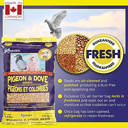 Hagen Pigeon & Dove Seed - Original Formula Bird Food, 6 lb Bag – Nutritionally Complete Seed Mix with Vitamins & Minerals – Wild & Captive Bird Diet – Insect-Resistant Air-Tight Packaging