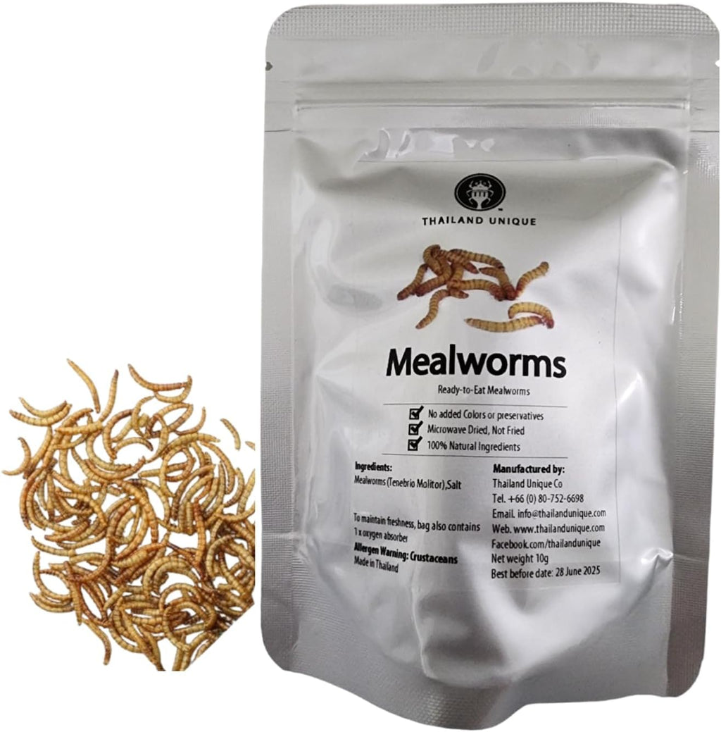 Thailand Unique Mealworms - 10 Gram Bag of Dehydrated Edible Insects for Humans, Nutritious Bugs Superfood Weird Unusual Snack Gift