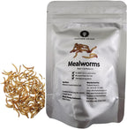 Thailand Unique Mealworms - 10 Gram Bag of Dehydrated Edible Insects for Humans, Nutritious Bugs Superfood Weird Unusual Snack Gift