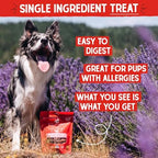 Stella & Chewy's Freeze-Dried Raw Chicken Heart Dog Treats - Single Ingredient, No Additives - Premium Training Treats - Perfect For Picky Eaters - 11oz Bag