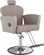 KIGOTY Salon Chair for Hair Stylist, Reclining Salon Chair with Hydraulic Pump,360 Degree Swivel Hair Stylist Chairs with Footrest and Adjustable Headrest for Barbershop (Grey-Silver)