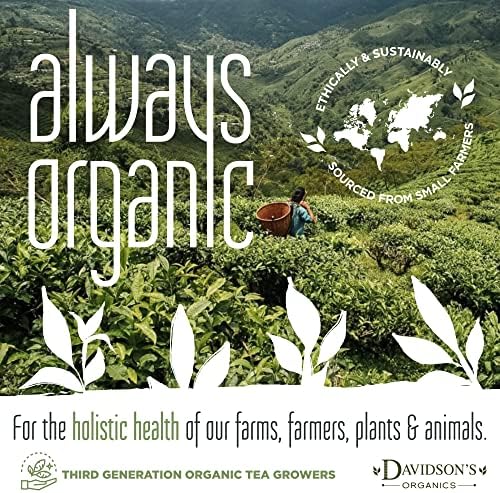 Davidson's Tea Bulk, Organic Assam Banaspaty Estate Tea 1 Pound Bag