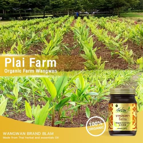 Wangwan Thai Herbal Balm for Back, Neck, Knee, Shoulder, Feet Thai Massage 50g (Pack of 3)
