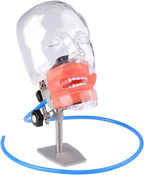 Global-Dental Simulator Manikin Phantom Head Model Teeth Dentist Educational Teeth Teaching Model with 28Pcs Fix on (Table Stand Type)