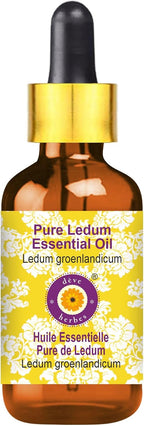 Deve Herbes Pure Ledum Essential Oil (Ledum groenlandicum) Steam Distilled with Glass Dropper 15ml (0.50 oz)