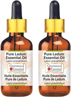 Greenwood Essential Pure Ledum Essential Oil (Ledum groenlandicum) with Glass Dropper Steam Distilled (Pack of Two) 100ml X 2 (6.76 oz)
