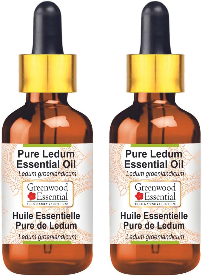 Greenwood Essential Pure Ledum Essential Oil (Ledum groenlandicum) with Glass Dropper Steam Distilled (Pack of Two) 100ml X 2 (6.76 oz)