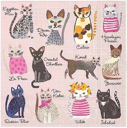 Boston International IHR 3-Ply Paper Napkins, 20-Count Cocktail Size, Cupcakes Cat