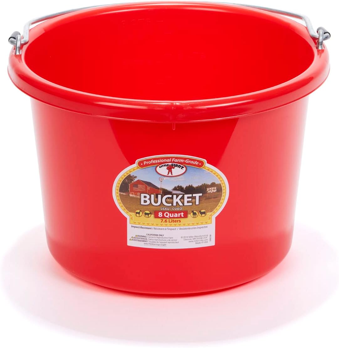 Plastic Animal Feed Bucket (Purple) - Little Giant - Round Plastic Feed Bucket with Metal Handle (8 Quarts / 2 Gallons) (Item No. P8RED6)
