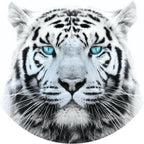 White Tiger with Blue Eyes Edible Cake Topper-8" Round