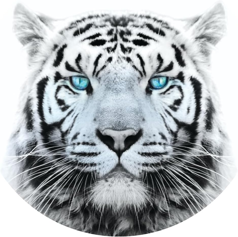 White Tiger with Blue Eyes Edible Cake Topper-8" Round