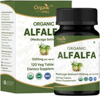 Alfalfa 120 Tablets | Medicago Sativa (Alfalfa) | USDA Organic Certified | Superfood Supplement with Vitamins and Minerals* | Dietary Supplement 120tab