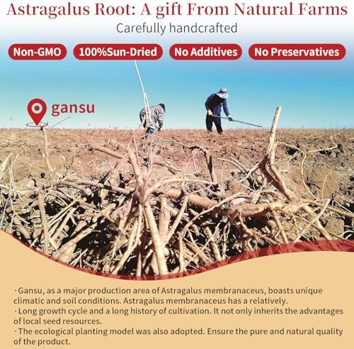 Astragalus Root for Tea Top Grade Huang Qi (Astragalus Root) Slices | 7oz (200g) Pure No Additives 黄芪 黄芪片