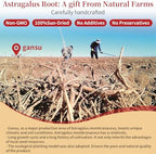 Astragalus Root for Tea Top Grade Huang Qi (Astragalus Root) Slices | 7oz (200g) Pure No Additives 黄芪 黄芪片
