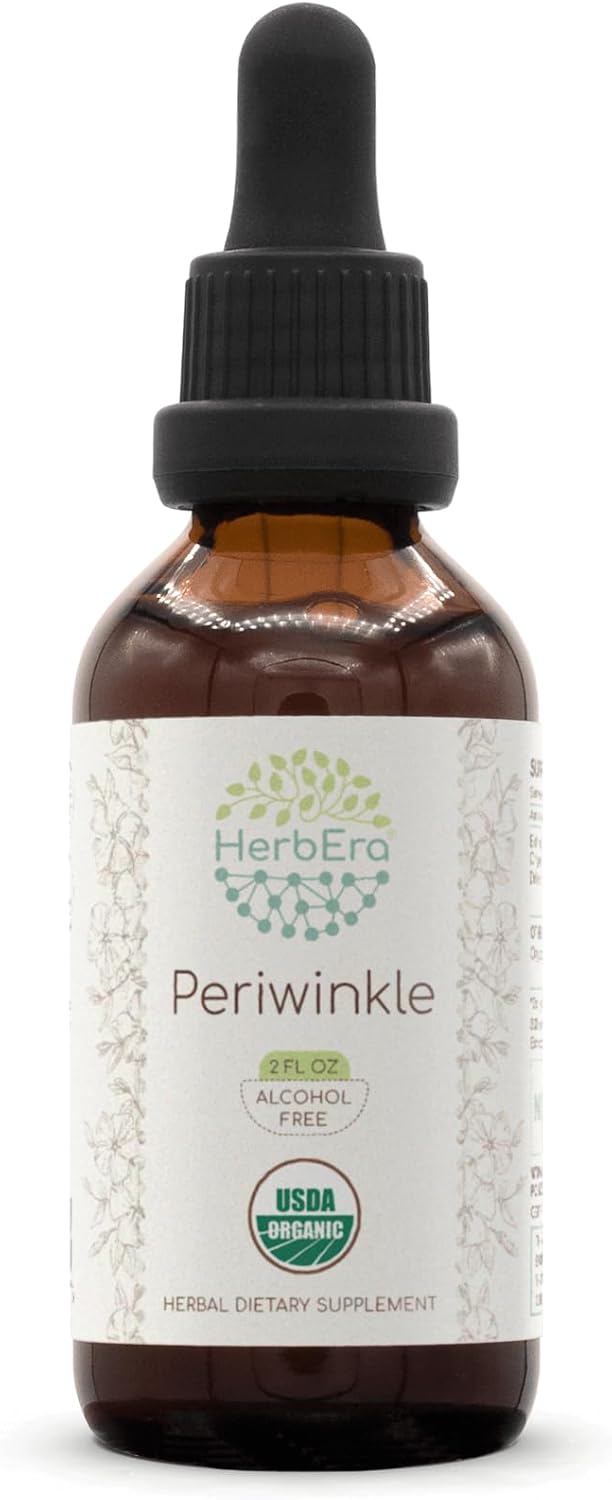 HerbEra Periwinkle B60 USDA Organic Tincture | Alcohol-Free Extract, High-Potency Herbal Drops | Certified Organic Periwinkle (Vinca Major) Dried Herb (2 oz)