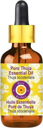 Deve Herbes Pure Thuja Essential Oil (Thuja occidentalis) with Glass Dropper Steam Distilled 50ml (1.69 oz)