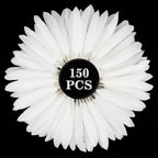 RAINFLOW 150PCS White Goose Feathers - Natural Feathers 4-6inch (10-15cm) Feathers Bulk Feathers for Crafting, Wings, Hat, Decorations, Party, Costume, Halloween, Christmas